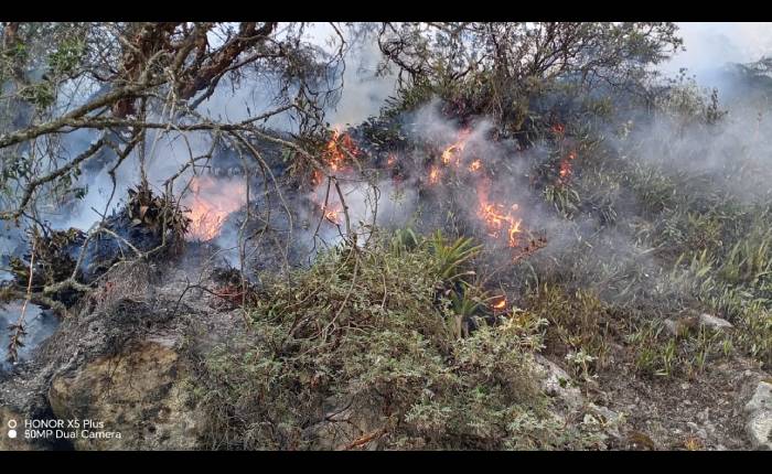 Incendio forestal incontrolable en Parque Nacional Huascarán