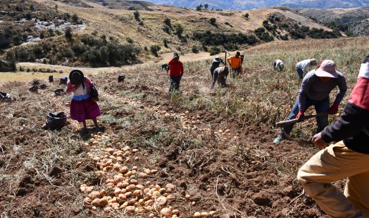 agricultura-np