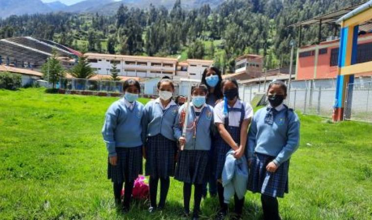 profe-proyecto