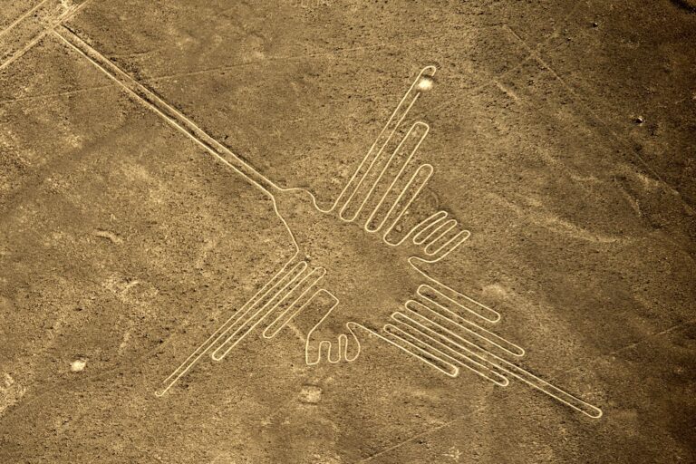 499217665_1297370459058914_7732093459379611261_n