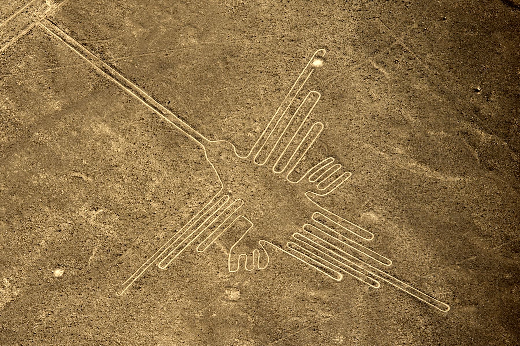 499217665_1297370459058914_7732093459379611261_n