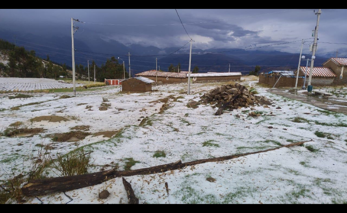 Granizada causa daños en viviendas, cultivos y animales en Independencia