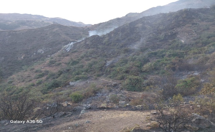 incendio 10 hectáreasokok