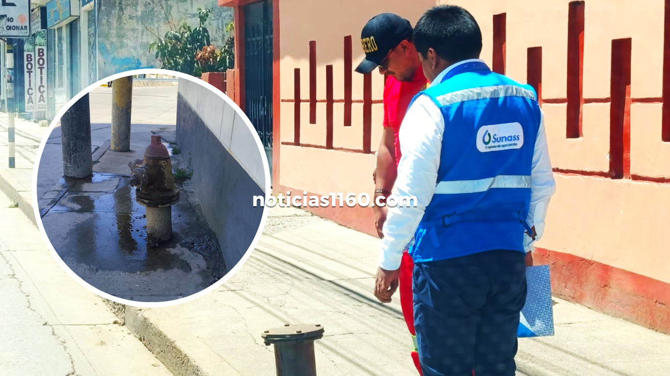 Crema Marrón Fotográfico Belleza Plataforma Lanzamiento Sitio Web (7)