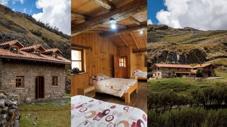 Diseño sin título (1)