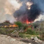 Nota informativa - 2025-12-07T102848.076