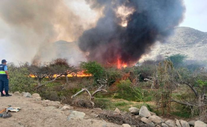 Nota informativa - 2025-12-07T102848.076