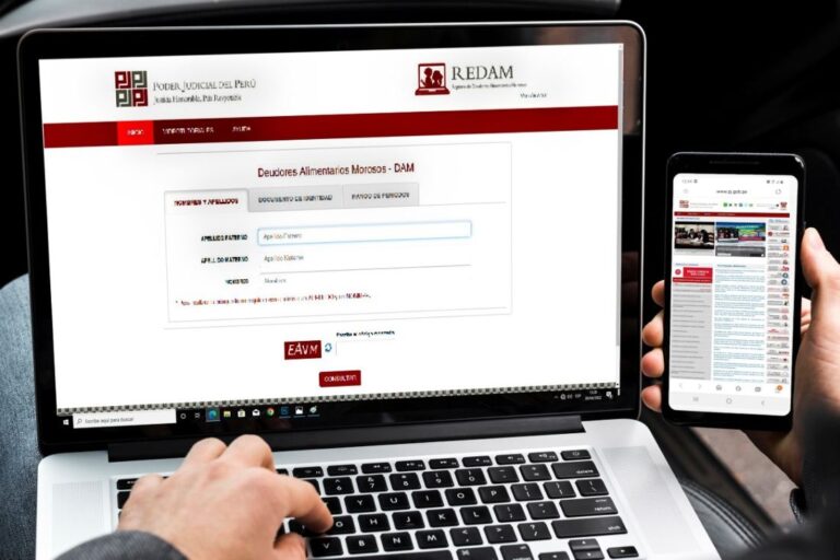 Registro+de+Deudores+Alimentarios+Morosos+del+Poder+Judicial_1