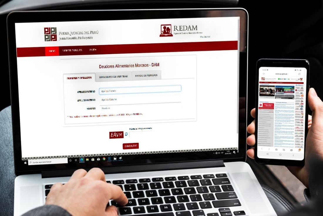 Registro+de+Deudores+Alimentarios+Morosos+del+Poder+Judicial_1