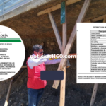 Crema Marrón Fotográfico Belleza Plataforma Lanzamiento Sitio Web (1)