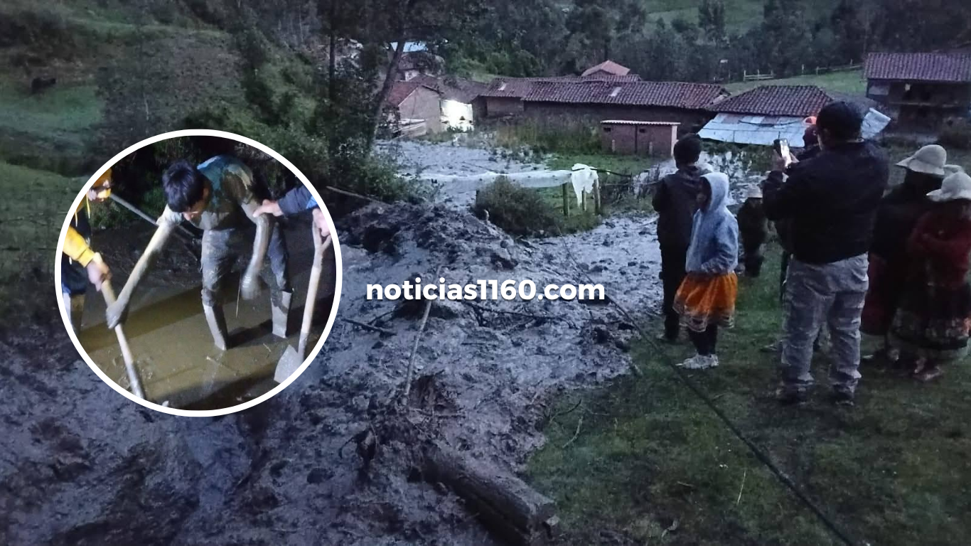 Crema Marrón Fotográfico Belleza Plataforma Lanzamiento Sitio Web (1)