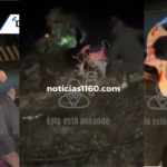 Crema Marrón Fotográfico Belleza Plataforma Lanzamiento Sitio Web (6)