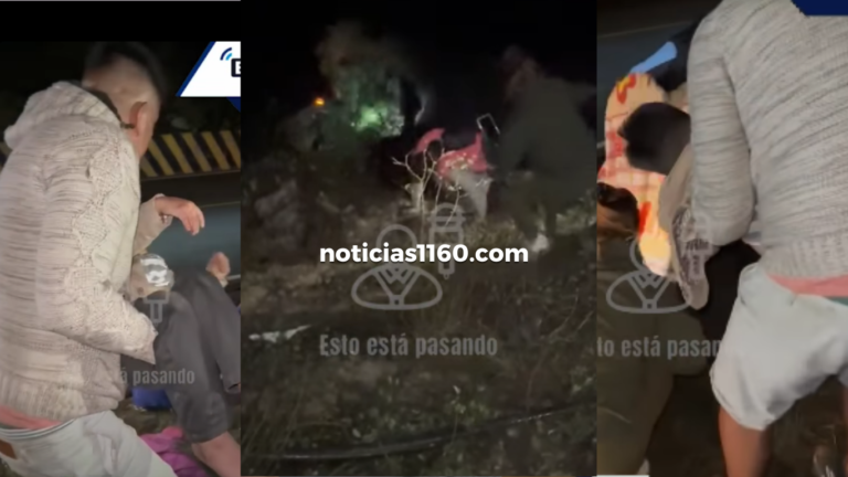 Crema Marrón Fotográfico Belleza Plataforma Lanzamiento Sitio Web (6)