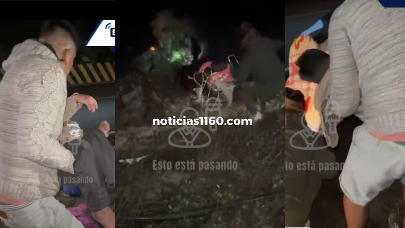 Crema Marrón Fotográfico Belleza Plataforma Lanzamiento Sitio Web (6)