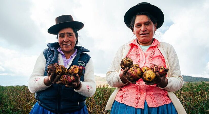 agroperu-informa_agroideas-subvencion-proyectos-mujeres-rurales-peru