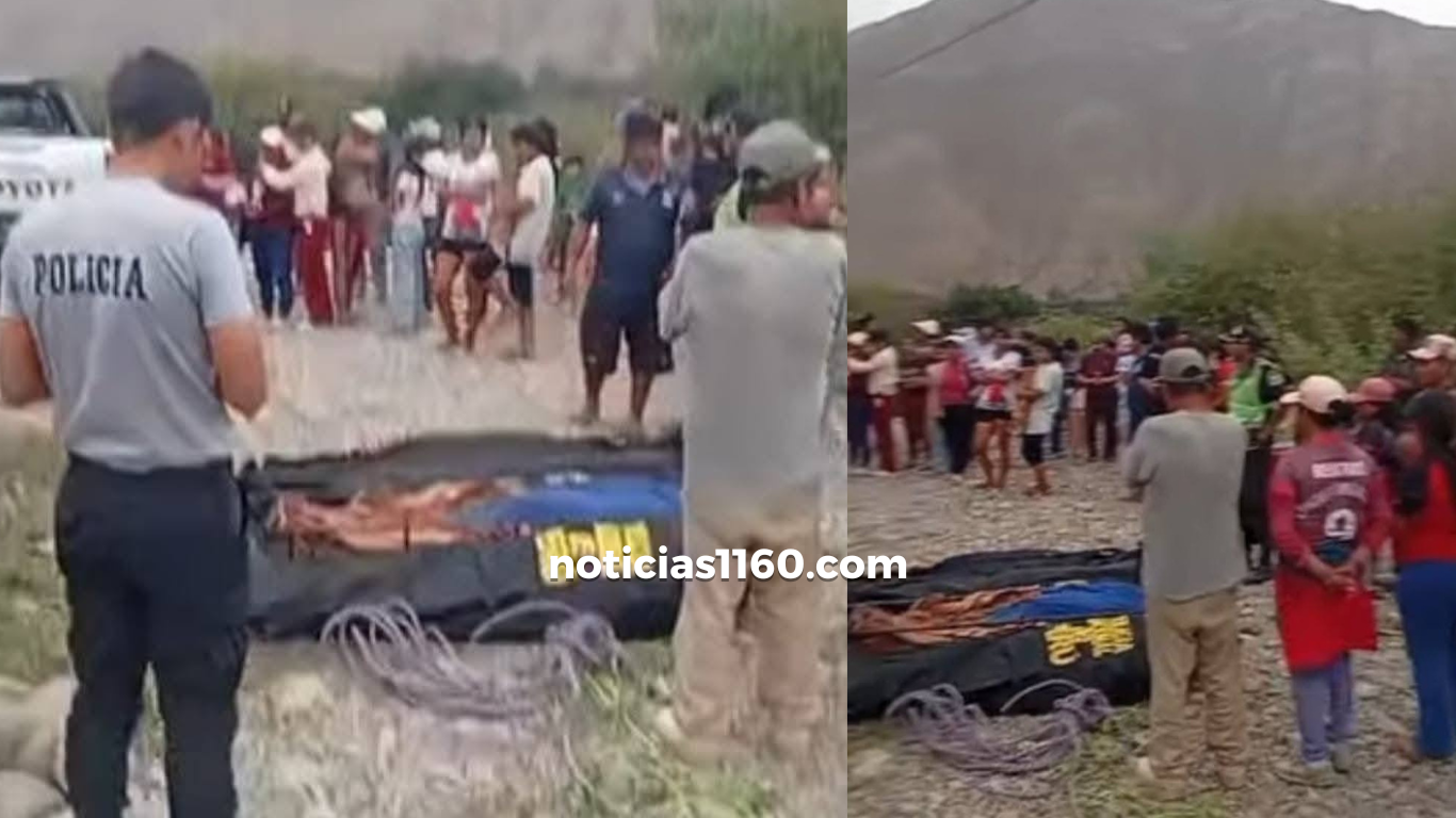 Crema Marrón Fotográfico Belleza Plataforma Lanzamiento Sitio Web