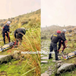 Crema Marrón Fotográfico Belleza Plataforma Lanzamiento Sitio Web