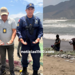 Crema Marrón Fotográfico Belleza Plataforma Lanzamiento Sitio Web (3)