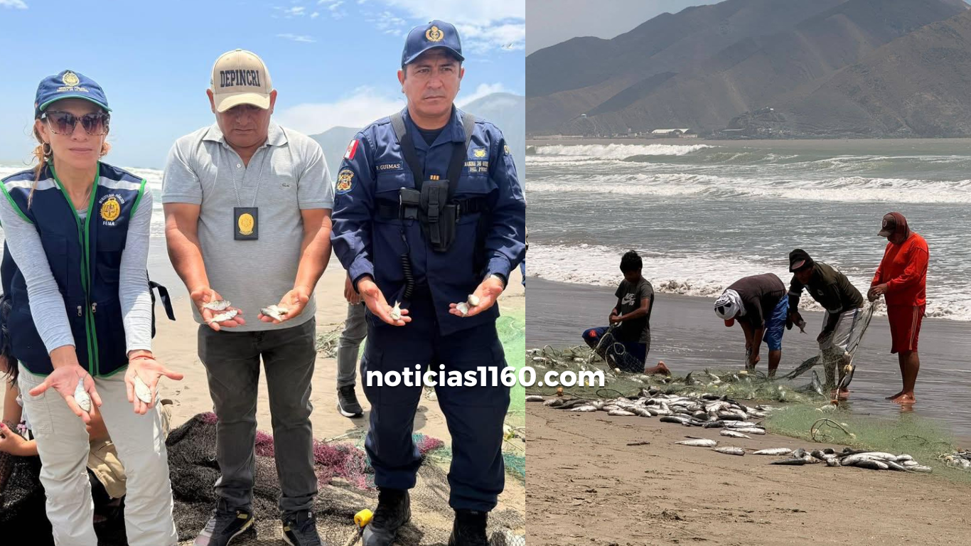 Crema Marrón Fotográfico Belleza Plataforma Lanzamiento Sitio Web (3)