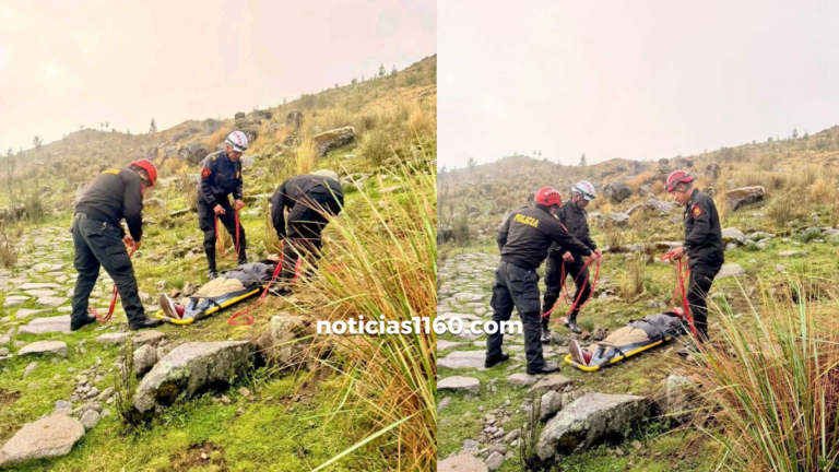 Crema Marrón Fotográfico Belleza Plataforma Lanzamiento Sitio Web