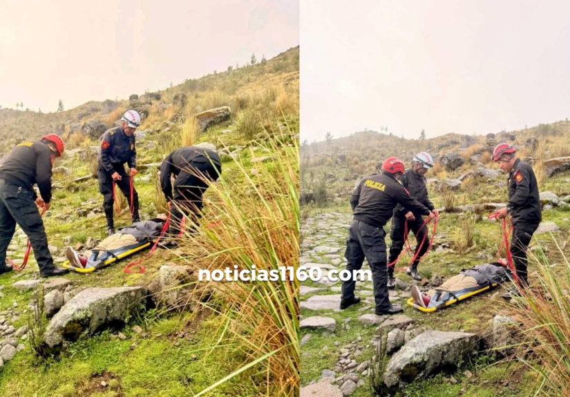 Crema Marrón Fotográfico Belleza Plataforma Lanzamiento Sitio Web