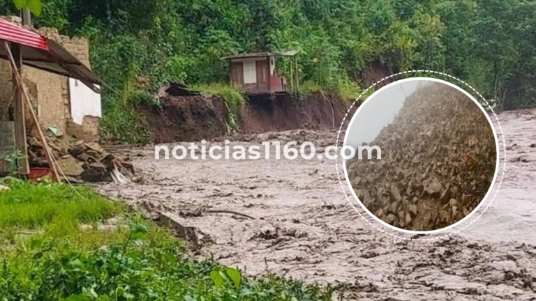 noticias1160.com (3)