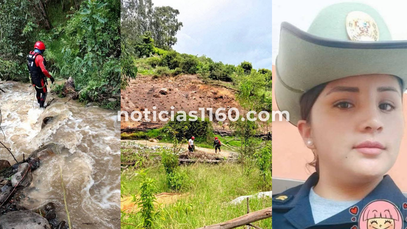 noticias1160.com (5)