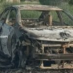 600 pm_20260325_075638_00001874112713326050046.