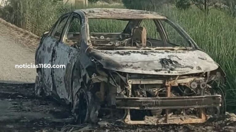 600 pm_20260325_075638_00001874112713326050046.