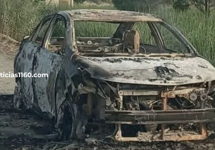 600 pm_20260325_075638_00001874112713326050046.