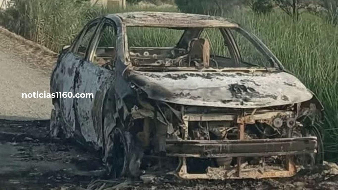 600 pm_20260325_075638_00001874112713326050046.