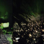 Derrumbe por lluvias bloquea carretera nacional en Chiquián, provincia de Bolognesi