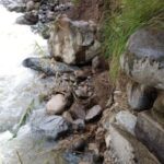 Diseño sin título - 2026-03-08T173806.111