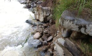 Diseño sin título - 2026-03-08T173806.111