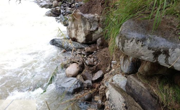 Diseño sin título - 2026-03-08T173806.111