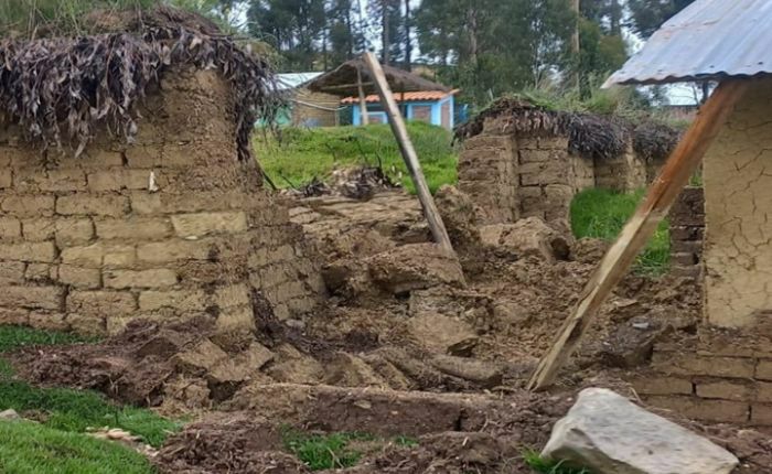 diseño sin título - 2026-03-19t1655253821163144730687428.