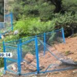 diseño sin título - 2026-03-22t2011188583765510299984632.