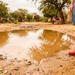 leptospirosis-en-peru-minsa-reporta-mas-de-mil-contagios-en-tumbes8491026818793135791