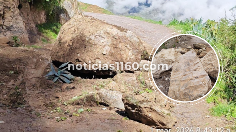 noticias1160.com (1)