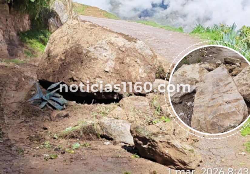 noticias1160.com (1)