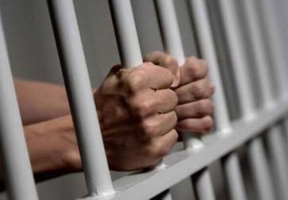 Diseño sin título - 2026-04-01T222907.480