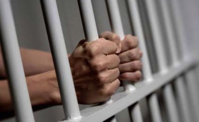 Diseño sin título - 2026-04-01T222907.480