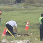 Diseño sin título - 2026-04-13T120334.855