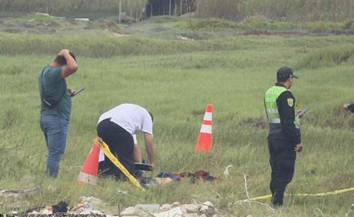 Diseño sin título - 2026-04-13T120334.855