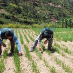 Diseño sin título - 2026-04-26T192708.553