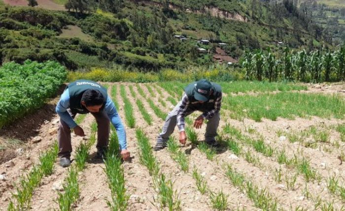 Diseño sin título - 2026-04-26T192708.553