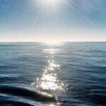 fb_img_17770849225904492576483536967897