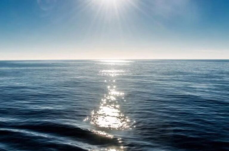 fb_img_17770849225904492576483536967897