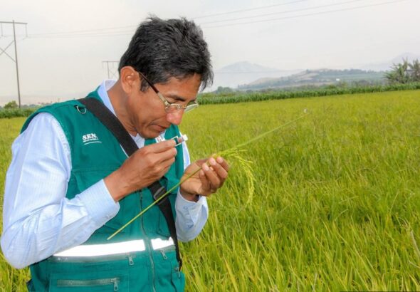 fb_img_17772635019524612928079830093364