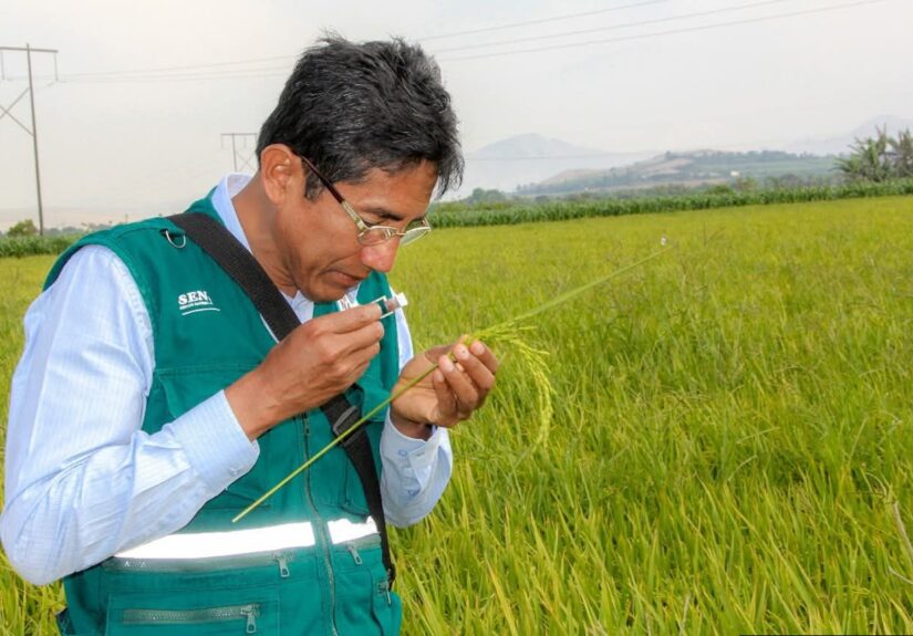 fb_img_17772635019524612928079830093364